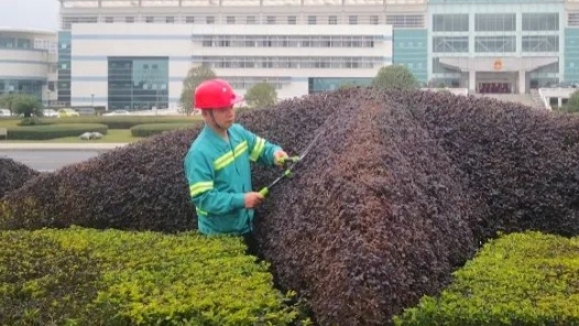 工匠汇·2021年广西工匠 | 谭新伟：用绣花功夫为城市“绣花”