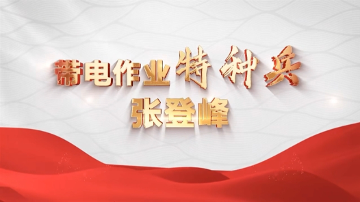 劳模故事·湖北劳模丨张登峰：“带电作业”守护万家灯火