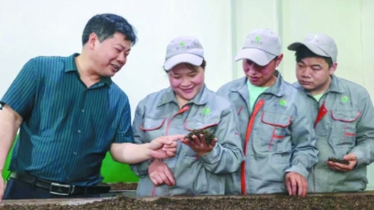 劳模风采·2022年陕西省劳动模范｜王能香：果密红茶背后的女茶人