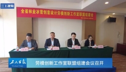 黑龙江省林业系统冰雪创意设计劳模创新工作室联盟组建